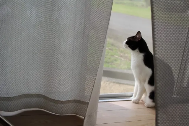 住みながら外構工事はできる?在宅中の注意点やメリット・デメリット